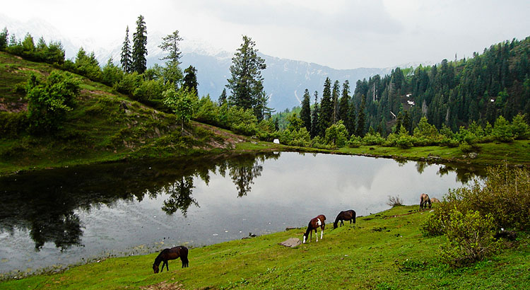 Trip to shogran Valley